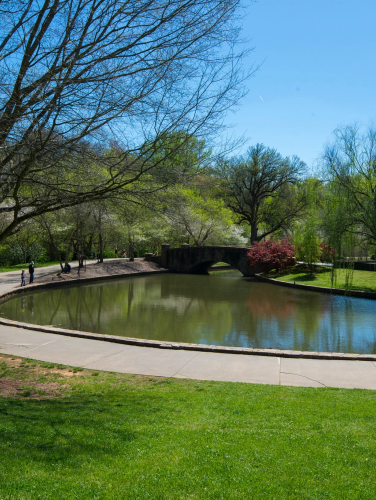 Trees and grass with a walking path and lake in the background on a sunny spring day.